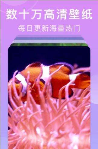 美化桌面图1