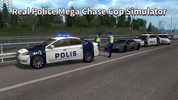 警车抓贼模拟器 图3