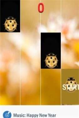 金甲虫钢琴块图2
