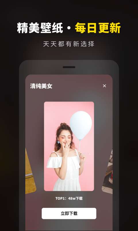 壁纸大全精选图3