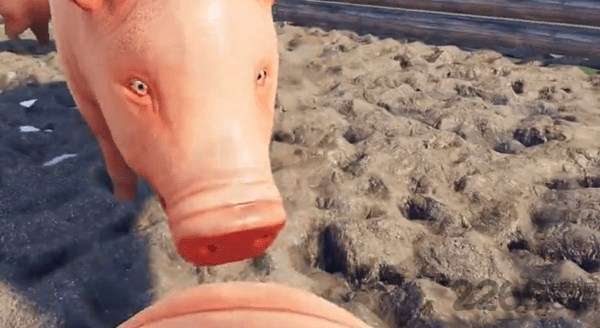 小猪模拟器图3