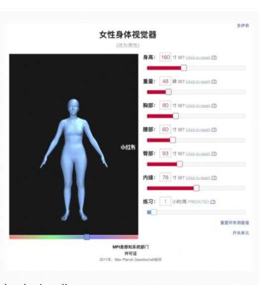 bodyvisualizer建模图1