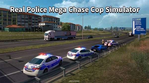 警车抓贼模拟器 图2
