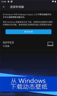 壁纸引擎是姐姐还是妹妹图3