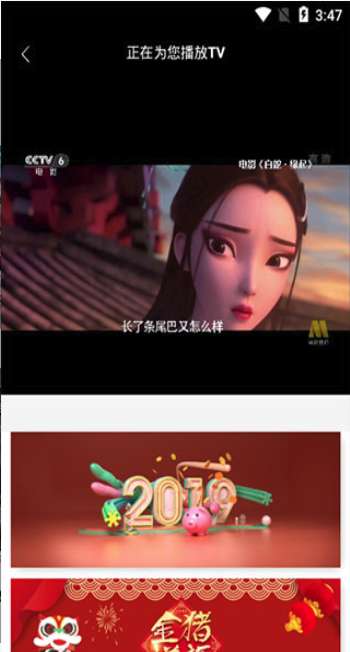 看猫追剧图1