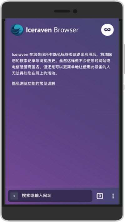 Iceraven Browser图3