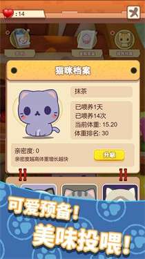 养只大肥猫图4