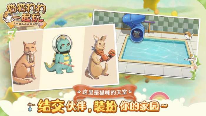 猫猫狗狗一起玩图4