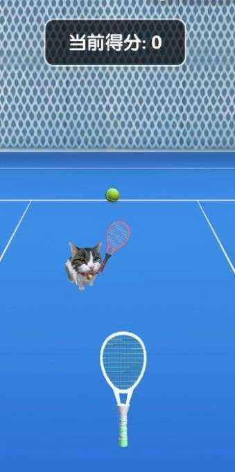 猫咪网球图3