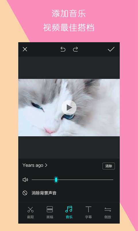 视频制作王图3