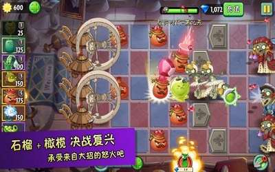 花花也疯狂图1