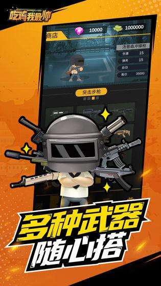 吃鸡我最帅图2