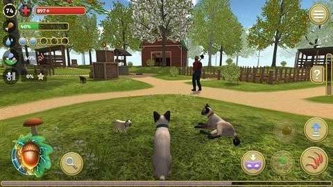 猫咪生存探险图2