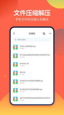 DS文件管理器图2
