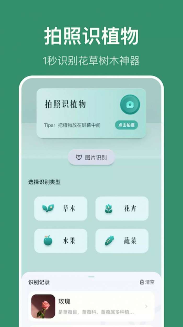 小黄养花图1