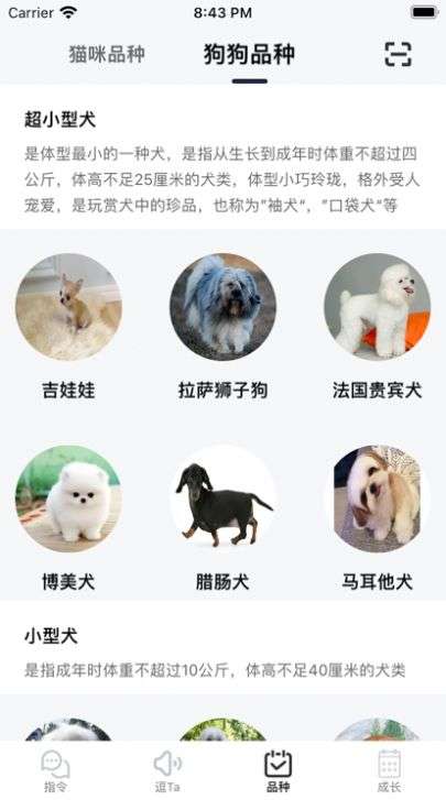 逗宠图2