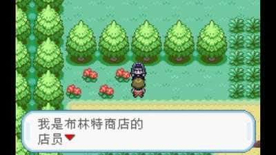 口袋妖怪：火红图1