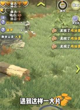 我修仙贼强图1