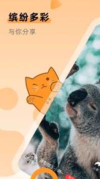 桔小猫短视频图1