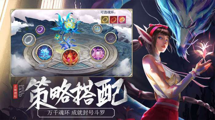 斗罗大陆：武魂觉醒图2