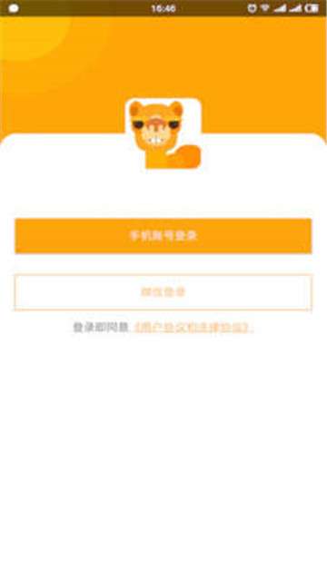骆驼相册图3