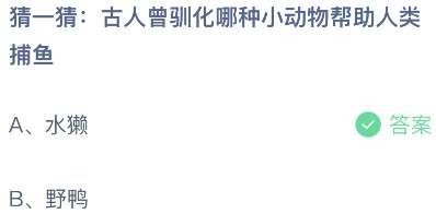 猜一猜：古人曾驯化哪种小动物帮助人类捕鱼？