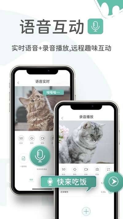 云阔宠物图3