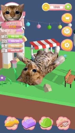 我家喵喵图3