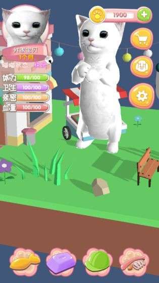 我家喵喵图1