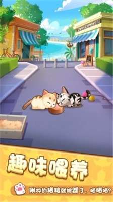 爱猫公社图3