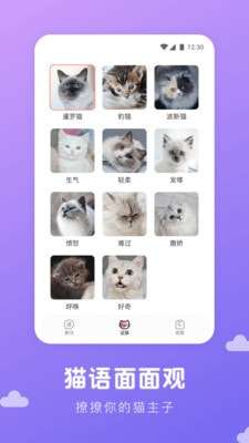 猫语翻译君破解版图2