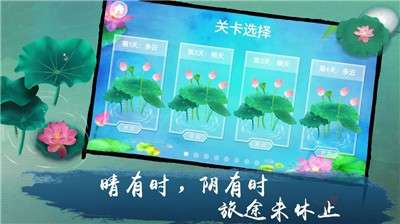 荷露图2
