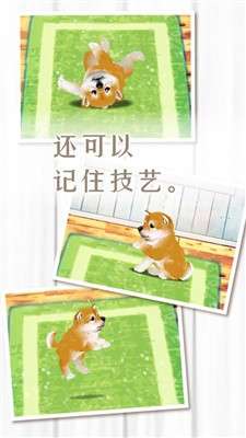 养育柴犬的治愈游戏图4