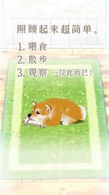 养育柴犬的治愈游戏图2