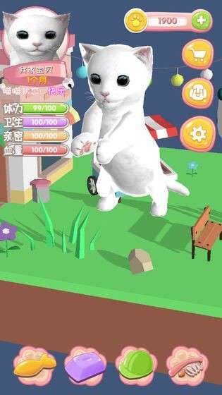 我家喵喵图6