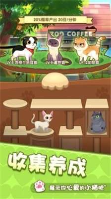 爱猫公社图4