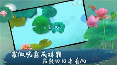 荷露图4