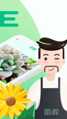 苗叔识花植物识别图2