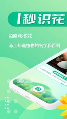 苗叔识花植物识别图1