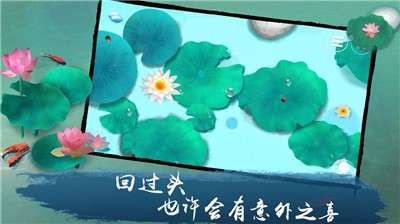 荷露图1