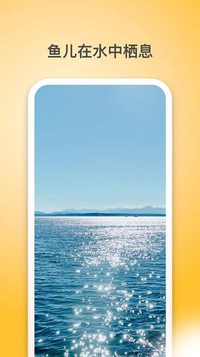 夏橙光遇安卓版图2