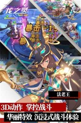 龙之灵游戏图3