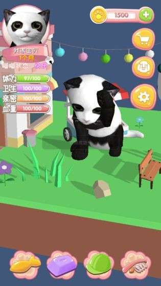 我家喵喵图4