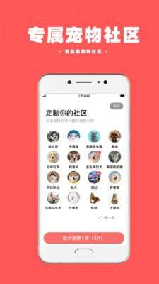 宠物王国官方版图1