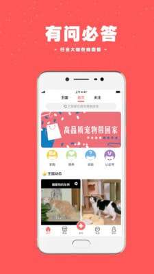 宠物王国官方版图2