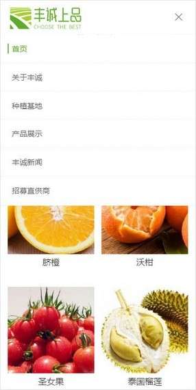 丰诚上品图2