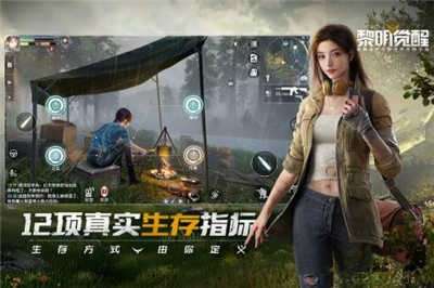 黎明觉醒安装包图4