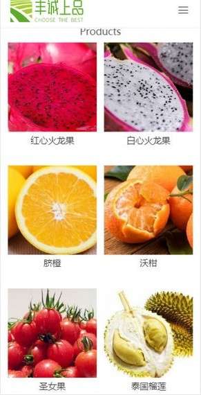 丰诚上品图1