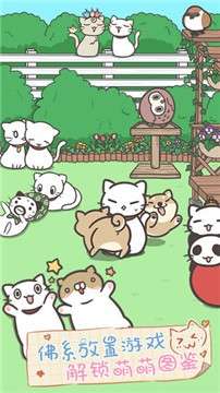 猫咪饲养日常手游图4