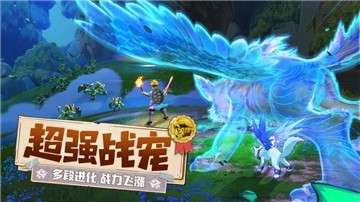 云上城之歌宠物图3
